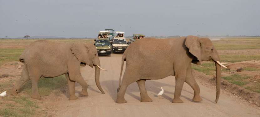 Le Kenya en&nbsp;famille