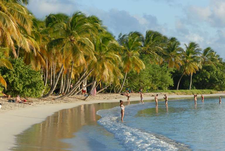 MARTINIQUESte-Anne Plage de la Grande Anse des Salines