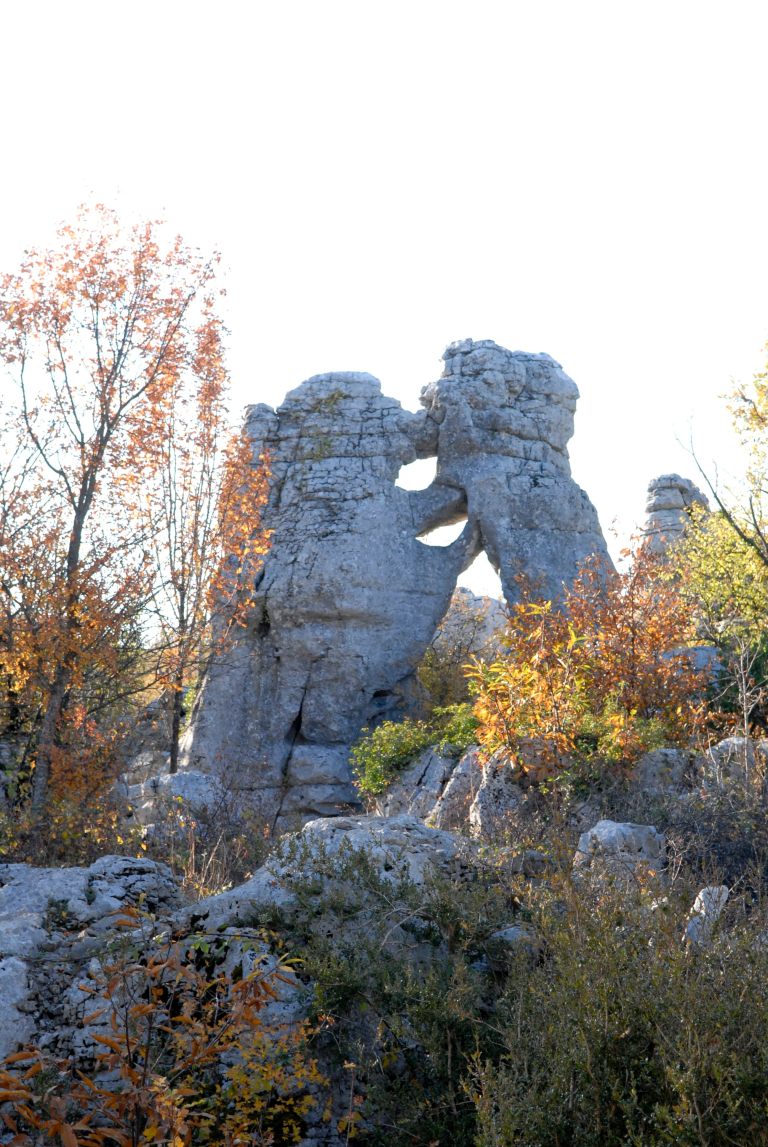 ARDECHE Rocher ruiniforme du bois de Païolive