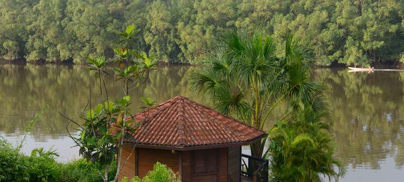 GUYANE, l&rsquo;Amazonie française